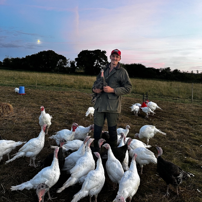 Free Range Turkeys Hampshire